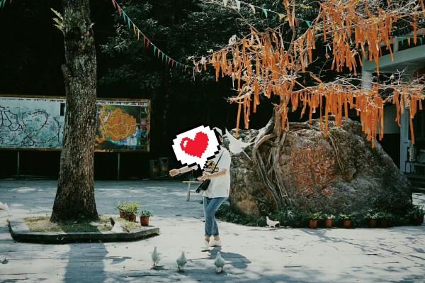 绷紧“规矩弦”,守好“自律线”:示范区农业农村局开展作风纪律专项检查